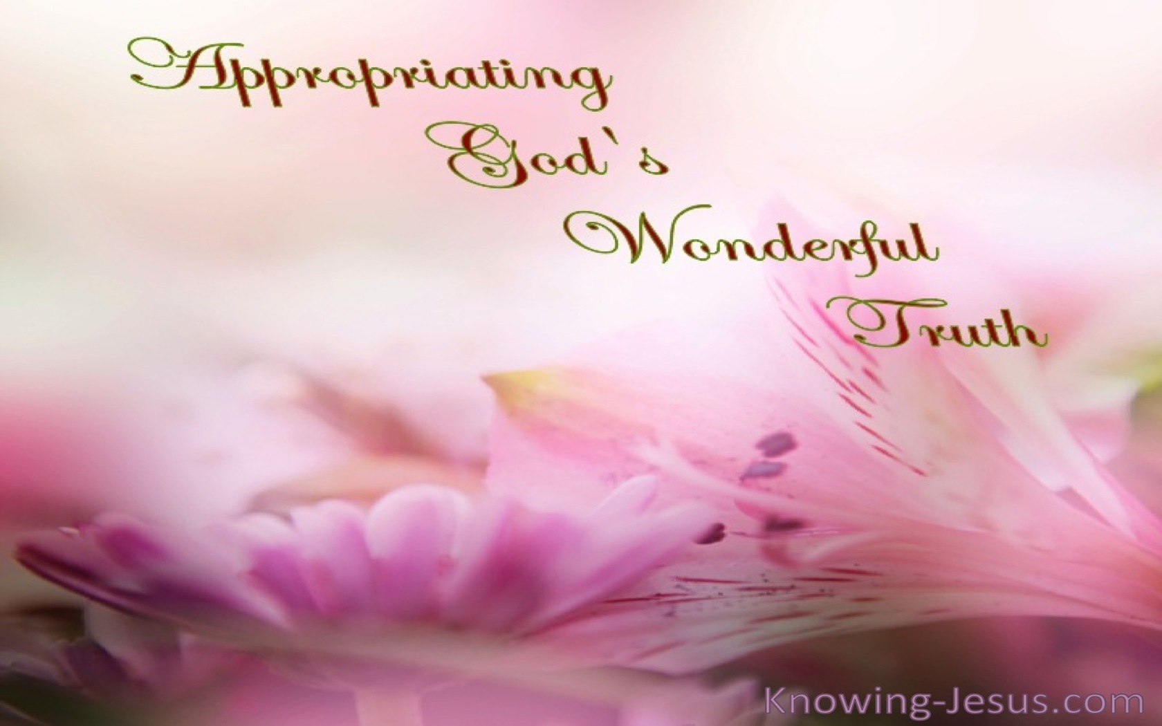 Appropriating God's Wonderful Truth (devotional) (brown)